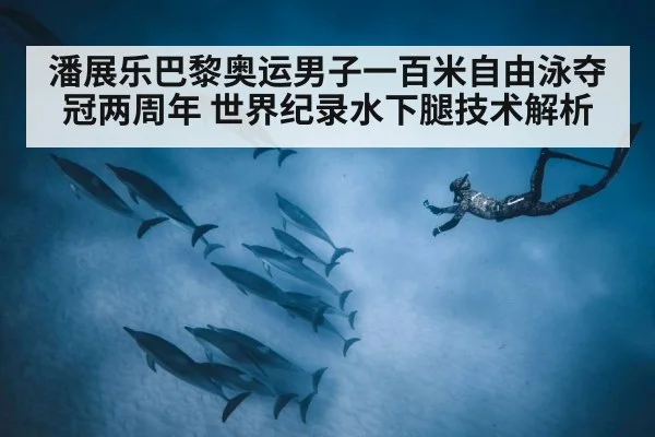 潘展乐巴黎奥运男子一百米自由泳夺冠两周年 世界纪录水下腿技术解析
